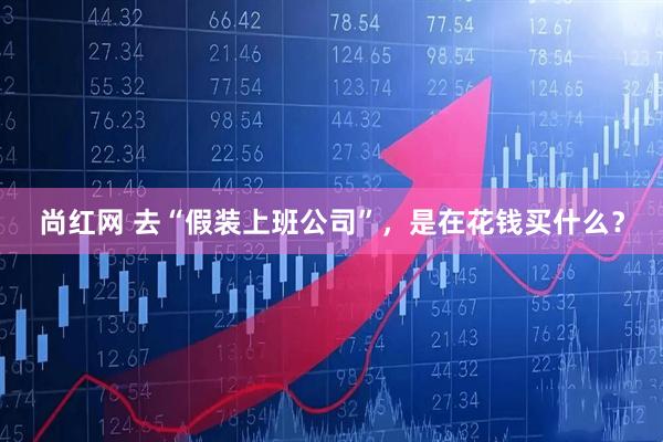 尚红网 去“假装上班公司”，是在花钱买什么？