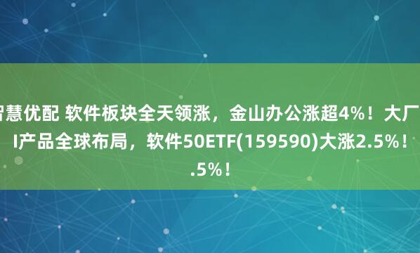 智慧优配 软件板块全天领涨，金山办公涨超4%！大厂AI产品全球布局，软件50ETF(159590)大涨2.5%！