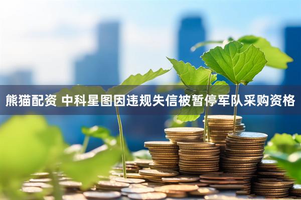 熊猫配资 中科星图因违规失信被暂停军队采购资格